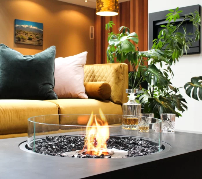 Biožidinys EcoSmart Fire Martini 50 5