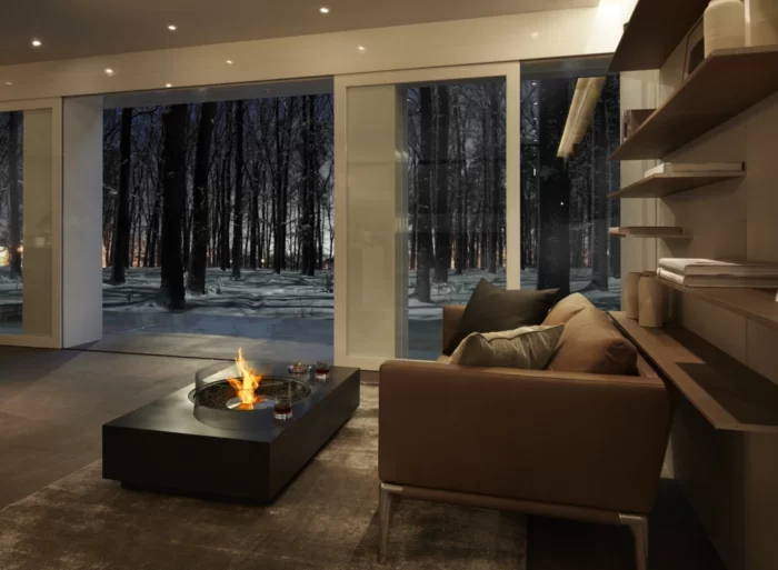 Biožidinys EcoSmart Fire Martini 50 2
